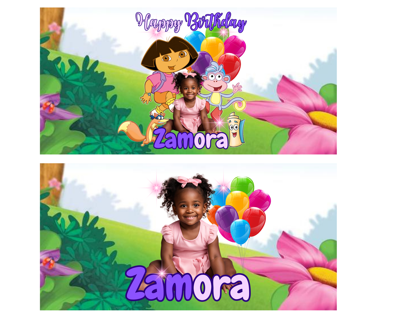 Dora Party Package
